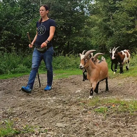 بيت للعطل Almhuette Meinezeit