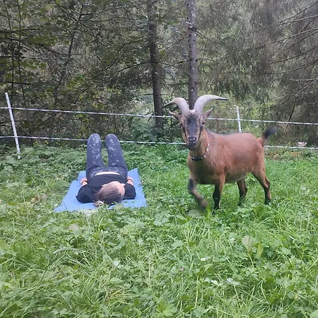 Almhuette Meinezeit * دونيغسباشوالد