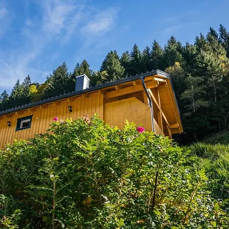 Almhuette Meinezeit بيت للعطل