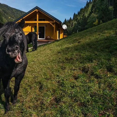 Holiday home Almhuette Meinezeit Donnersbachwald