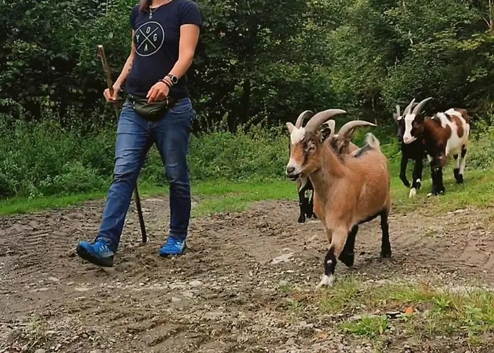 Сasa de vacaciones Almhuette Meinezeit