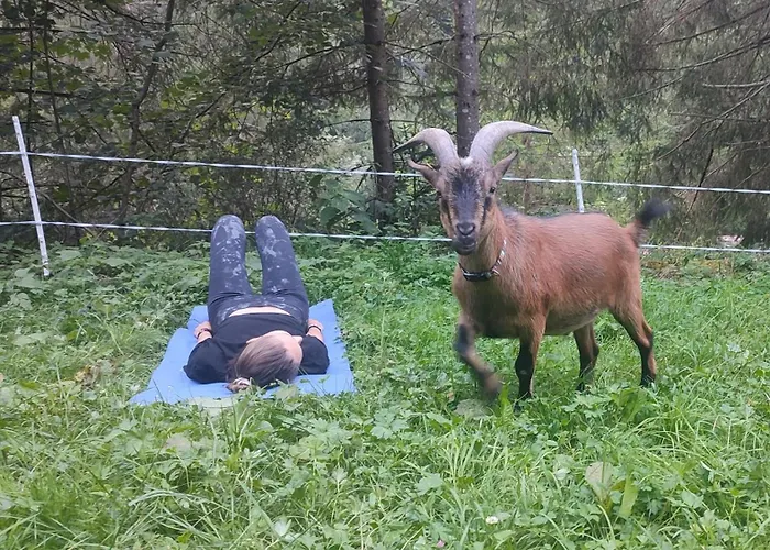 Almhuette Meinezeit * Donnersbachwald