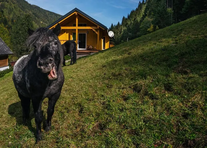 Сasa de vacaciones Almhuette Meinezeit Donnersbachwald